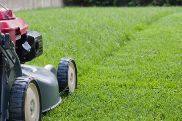 Lawn Treatments