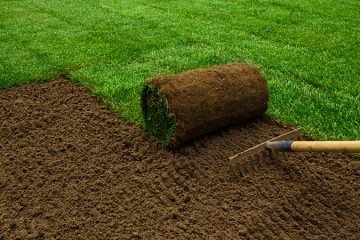 Turfing & Landscaping