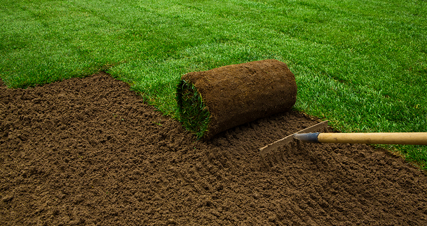 Turfing & Landscaping on the Wirral