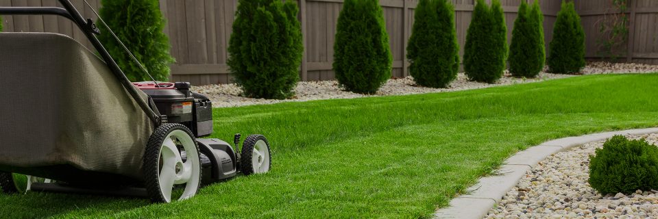 Your lawn and landscape
the way that it should be