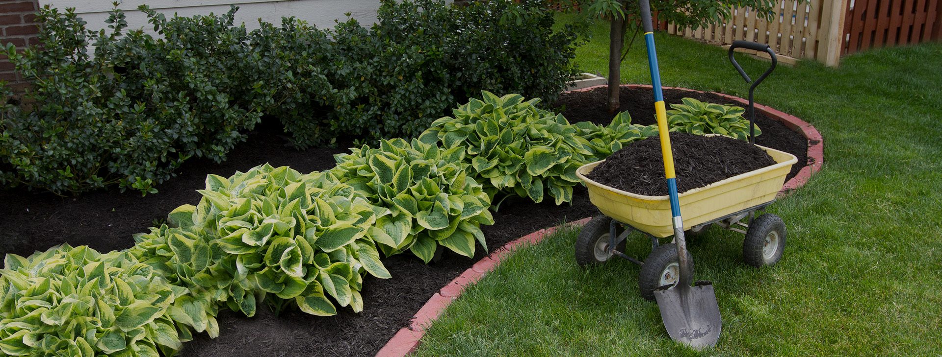 We provide landscaping
services across the Wirral